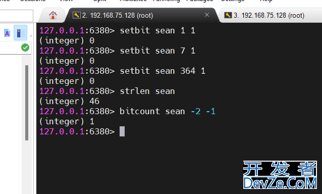 redis的string类型及bitmap介绍