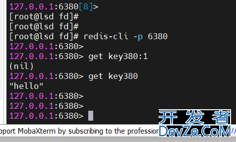 redis的string类型及bitmap介绍