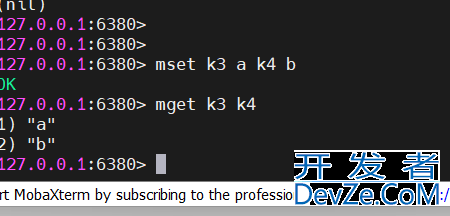 redis的string类型及bitmap介绍