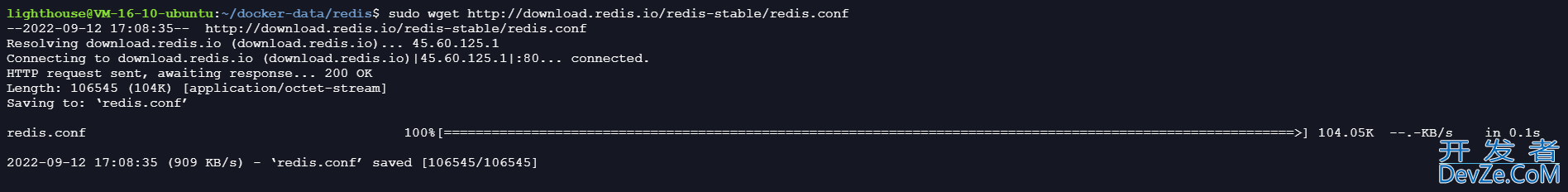 Docker安装Redis并使用Another Redis Desktop Manager连接的方法