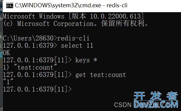 Redis下载部署并加入idea应用的小结