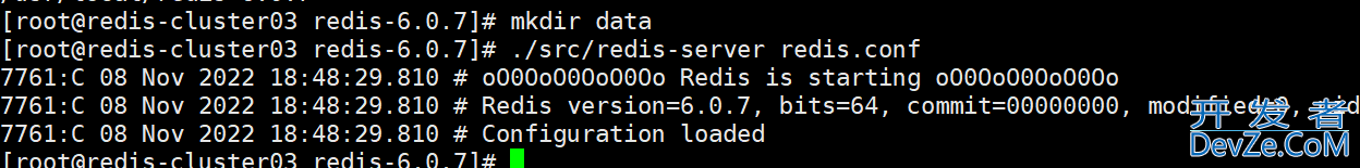 linux服务器中搭建redis6.0.7集群