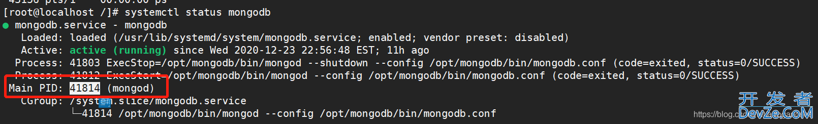 Mongodb 崩溃报错 Too many open files的问题解析