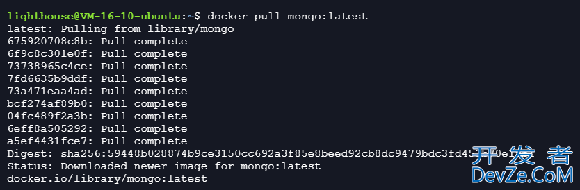 Docker安装MongoDB并使用Navicat连接的操作方法