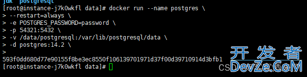 docker安装postgresql的图文教程