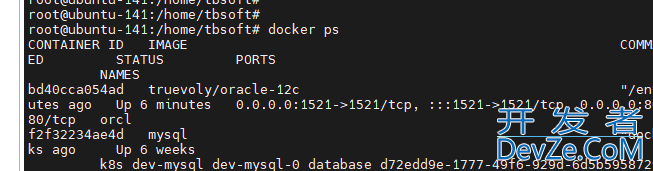 docker 安装Oracle-12C的方法详解