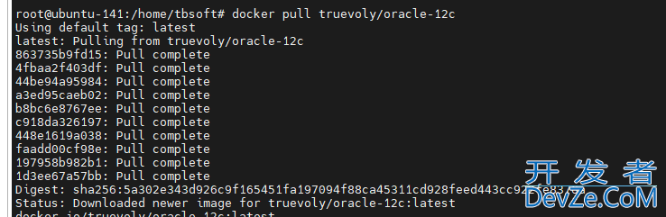 docker 安装Oracle-12C的方法详解