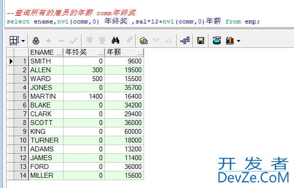 Oracle数据库中通用的函数实例详解