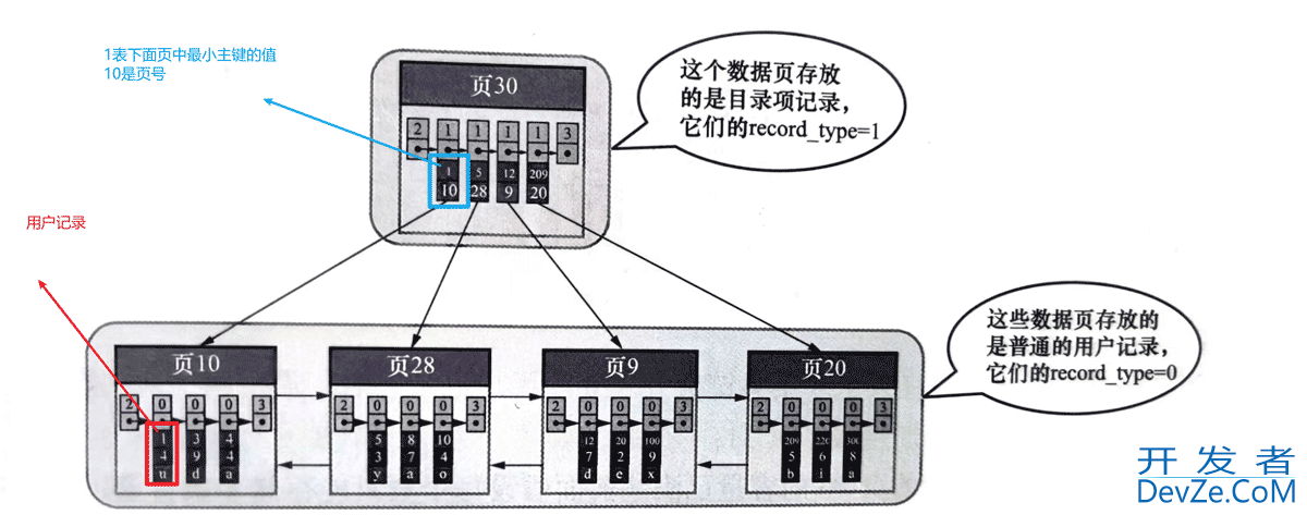 一篇文章讲解清楚MySQL索引