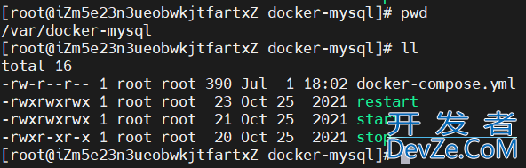 Docker-Compose创建mysql容器详解