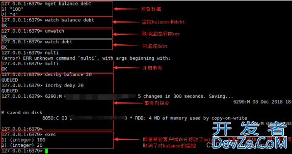 Redis中的配置文件，数据持久化，事务