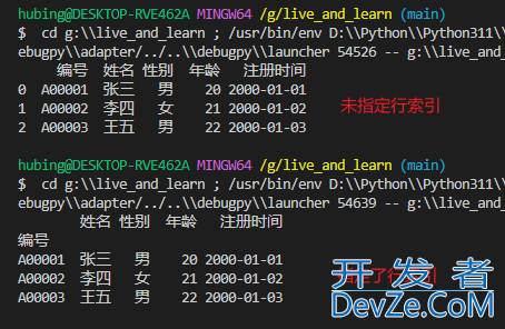 Python使用pandas导入xlsx格式的excel文件内容操作代码