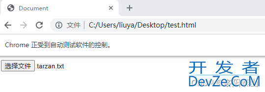 Java+Selenium实现文件上传下载功能详解