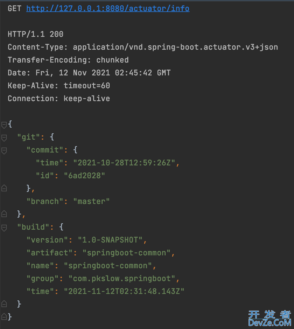 Spring Boot如何通过Actuator显示git和build的信息