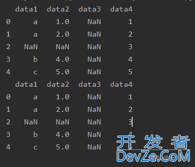 Pandas数据清洗函数总结