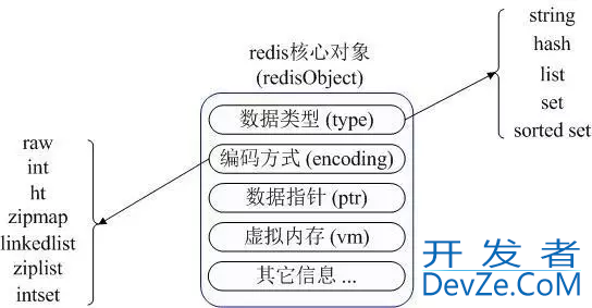 redis如何取hash的值