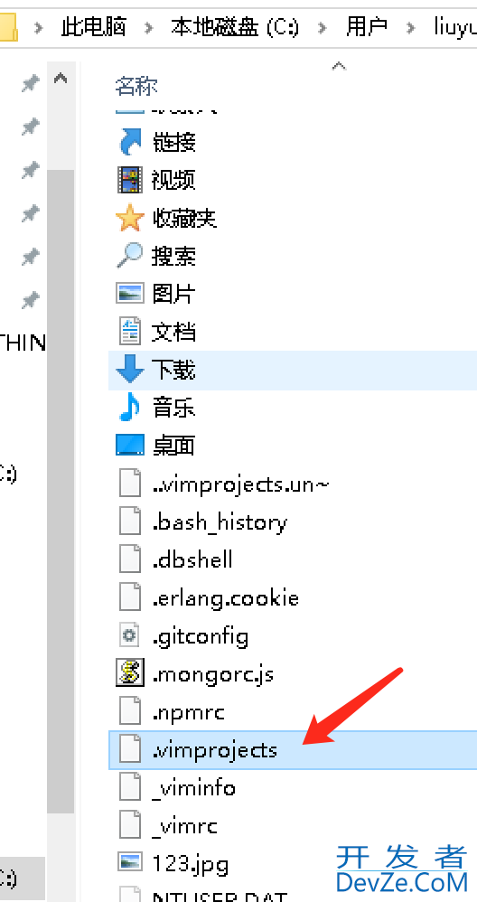 Win10系统下安装编辑器之神(The God of Editor)Vim并且构建Python生态开发环境过程(2020年最新攻略)