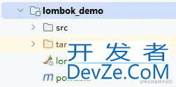 Lombok的@CustomLog流畅的公司多场景日志