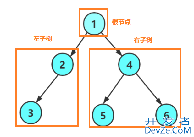 C语言中关于树和二叉树的相关概念