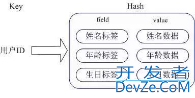 Redis的9种数据类型用法解读