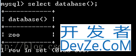 MySQL如何查看建库建表语句