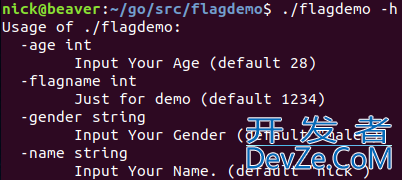 Golang flag包的具体使用
