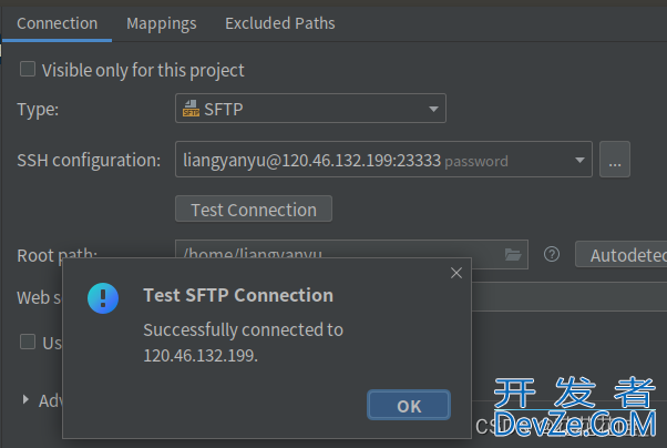 pycharm2022.2远程连接服务器调试代码实现