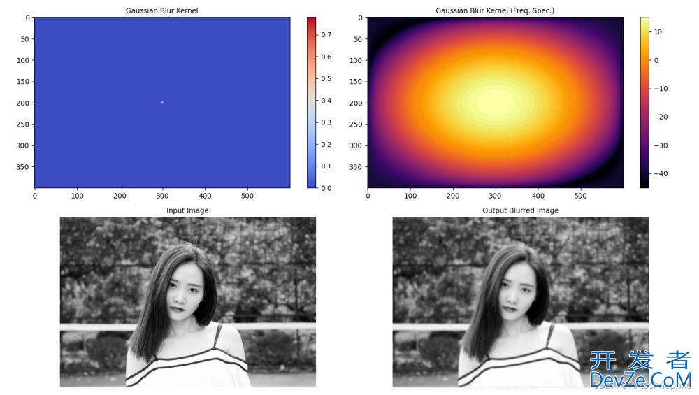 Python使用低通滤波器模糊图像功能实现