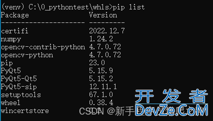 Python虚拟环境迁移的实现