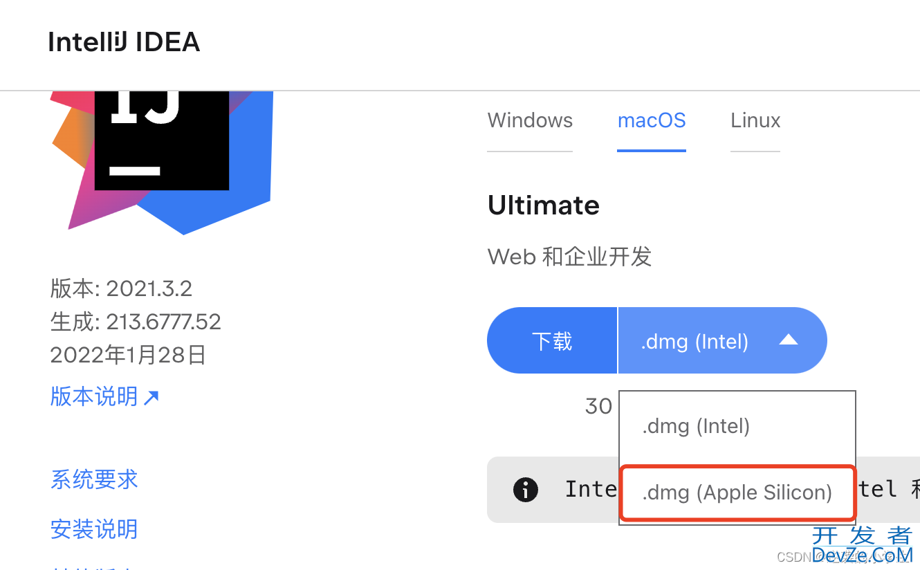 解决Mac m1 电脑 idea 卡顿的问题