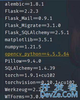 Python如何快速生成本项目的requeirments.txt实现