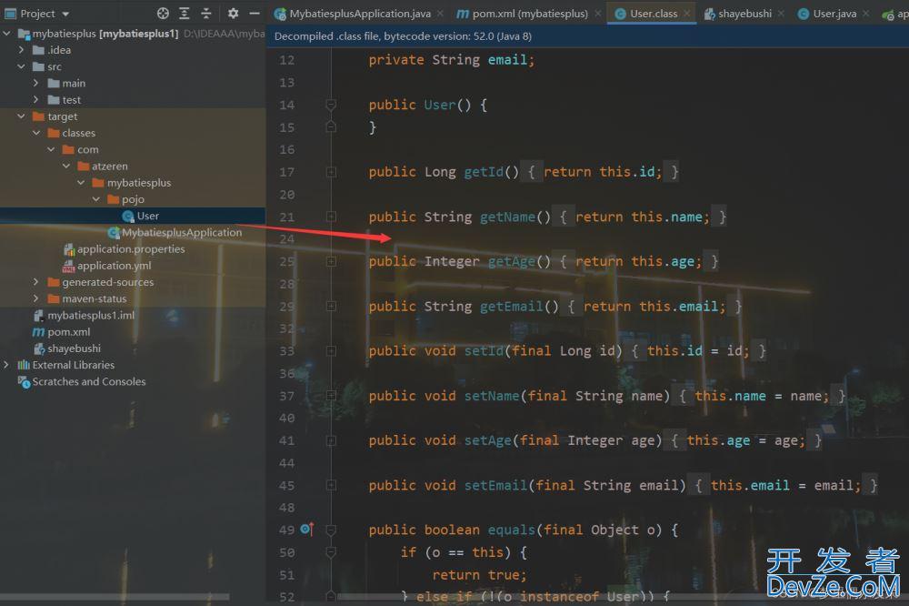 Mybatisplus创建Spring Boot工程打包错误的解决方式