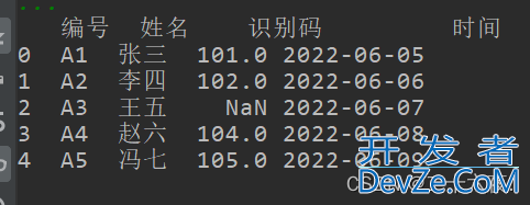 使用Python对EXCEL数据的预处理