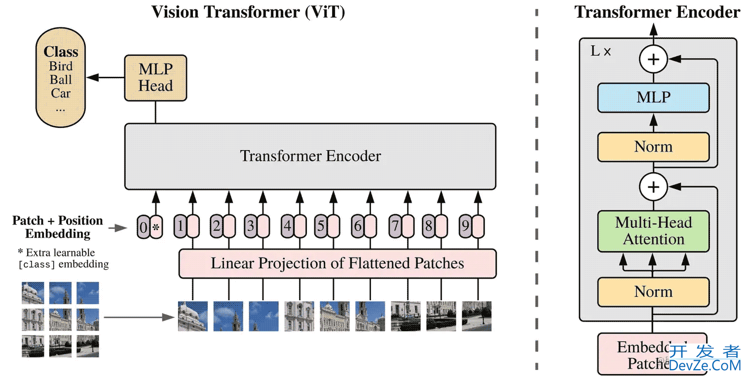 Vision Transformer图像分类模型导论