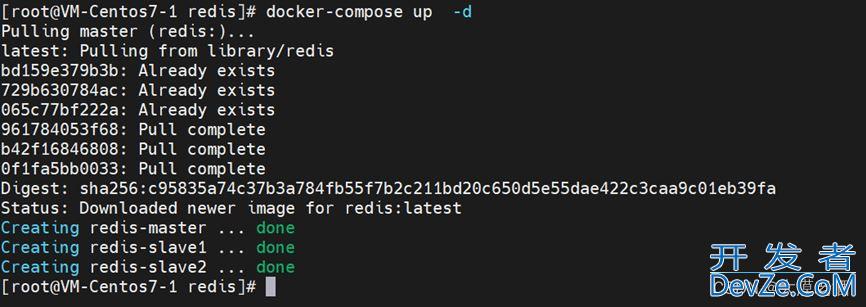 教你一分钟搞定docker+redis哨兵模式