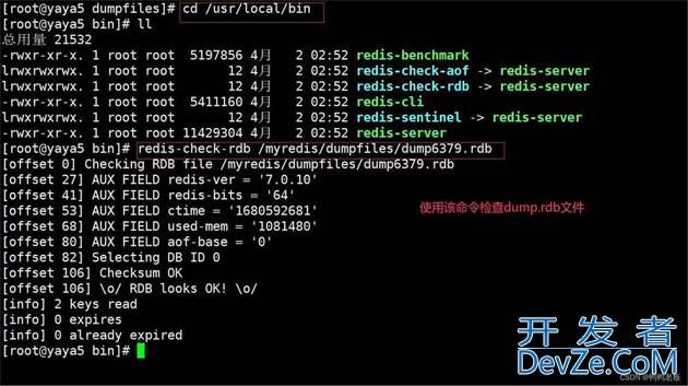 redis中RDB(Redis Data Base)的机制