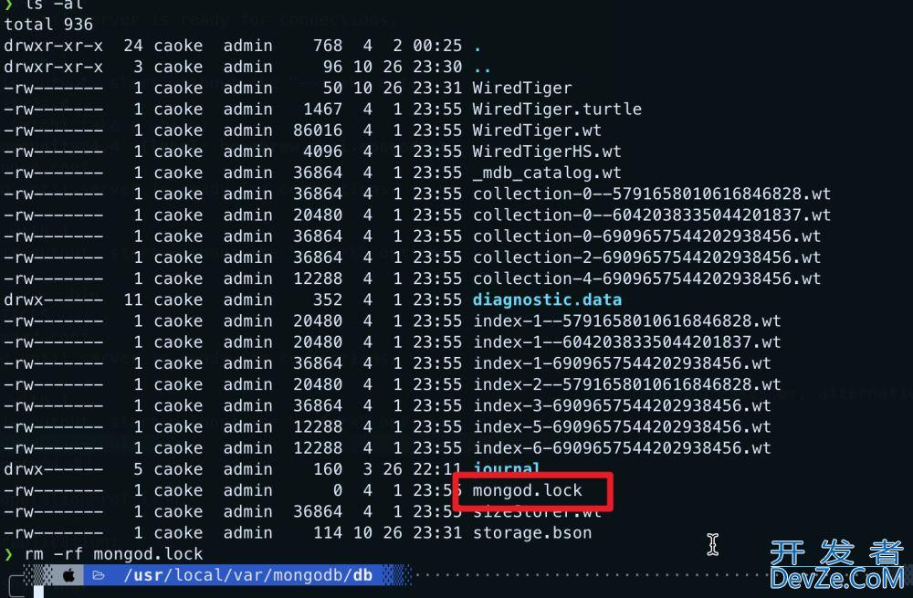 Mongodb启动报错完美解决方案:about to fork child process,waiting until server is ready for connections.