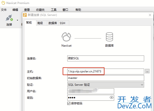 公网远程访问局域网SQL Server数据库