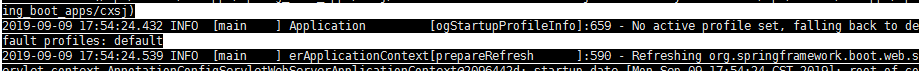 springboot指定profiles启动失败问题及解决
