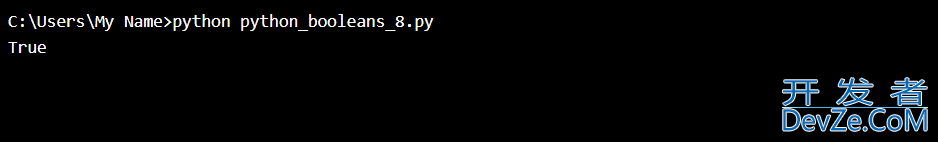 Python入门教程(十)Python布尔值介绍