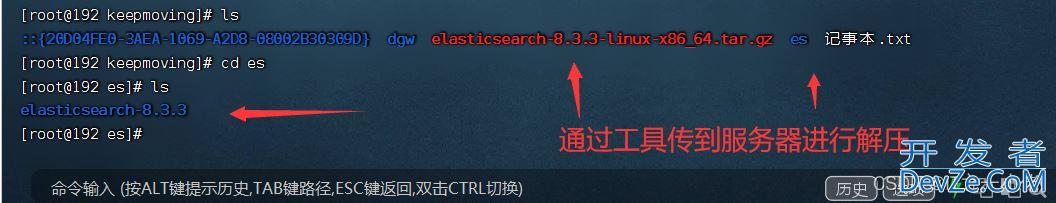 ElasticSearch的安装与基本概念