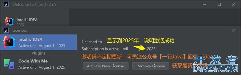 2023年IDEA最新永久激活教程(亲测可用)