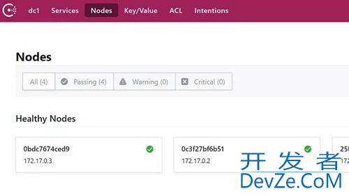 SpringBoot微服务注册分布式Consul的详细过程