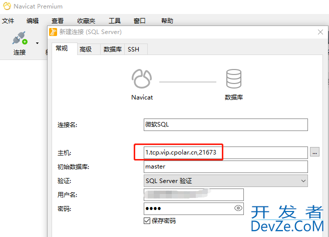 异地远程访问本地SQL Server数据库