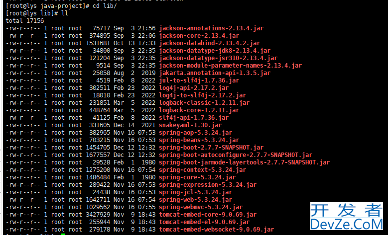 教你1秒将本地SpringBoot项目jar包部署到Linux环境(超详细!)