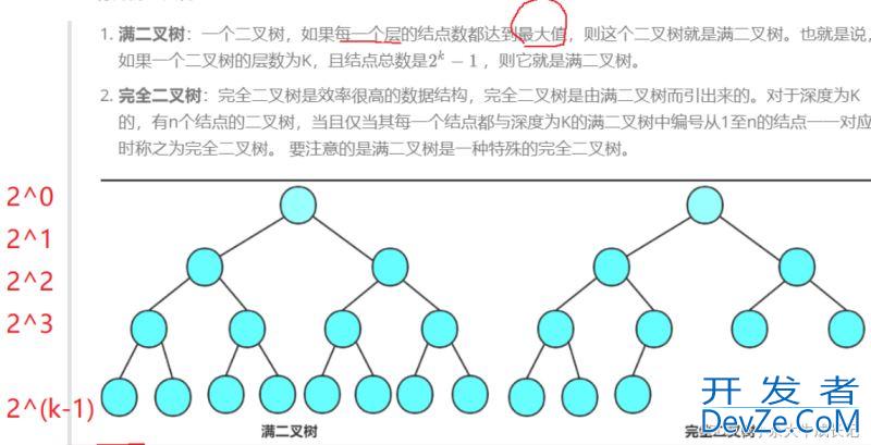 深入探究C语言中的二叉树