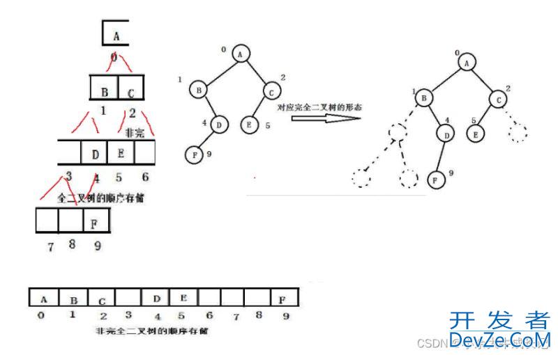 深入探究C语言中的二叉树