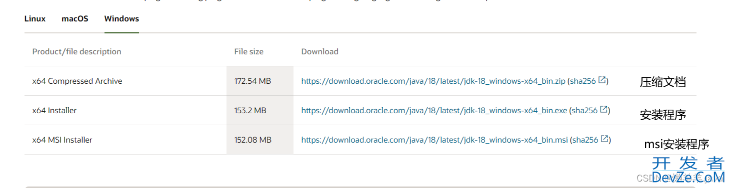 JDK输入命令Javac报错的解决方法