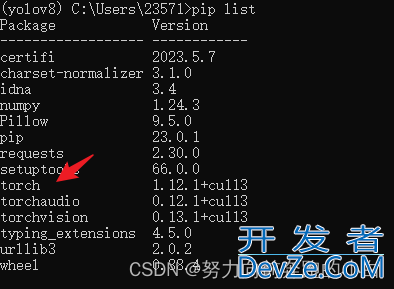 2023最新pytorch快速安装指南(超详细版)