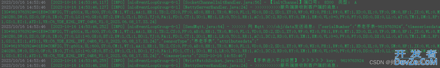 SpringBoot 整合 Netty 多端口监听的操作方法